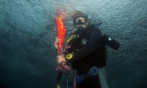 scuba_diving_courses 