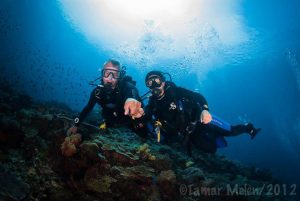 two-scuba-divers-holding-hands-on-reefs-at-nusa-penida  